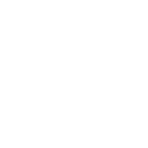 Vortex Vortex